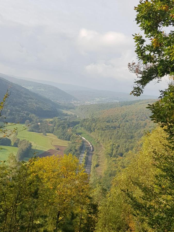 Ferienwohnung Im Springerhof Lohr エクステリア 写真