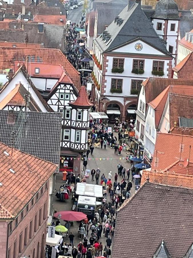 Ferienwohnung Im Springerhof Lohr エクステリア 写真