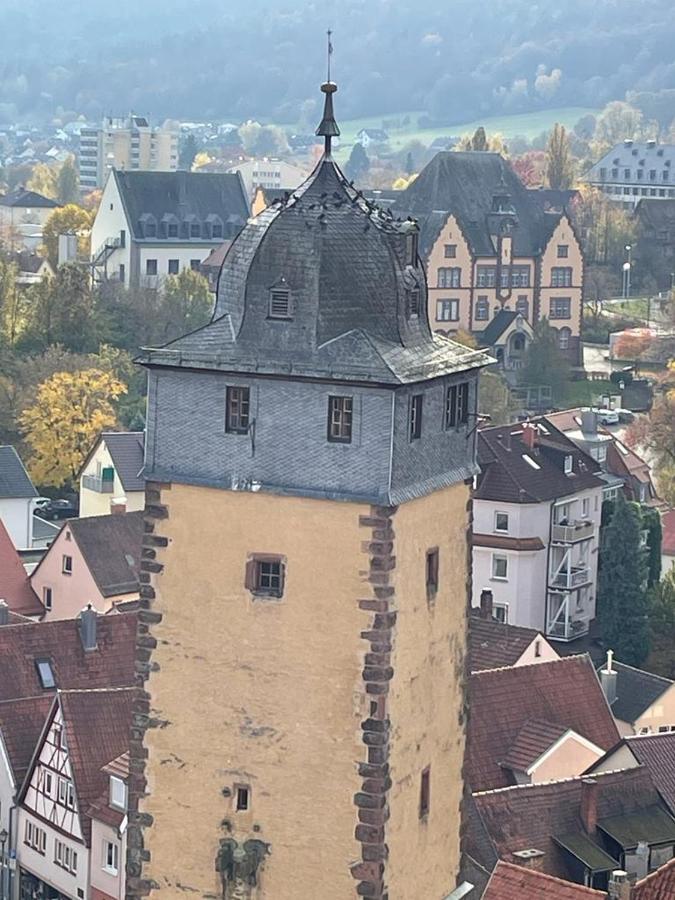 Ferienwohnung Im Springerhof Lohr エクステリア 写真