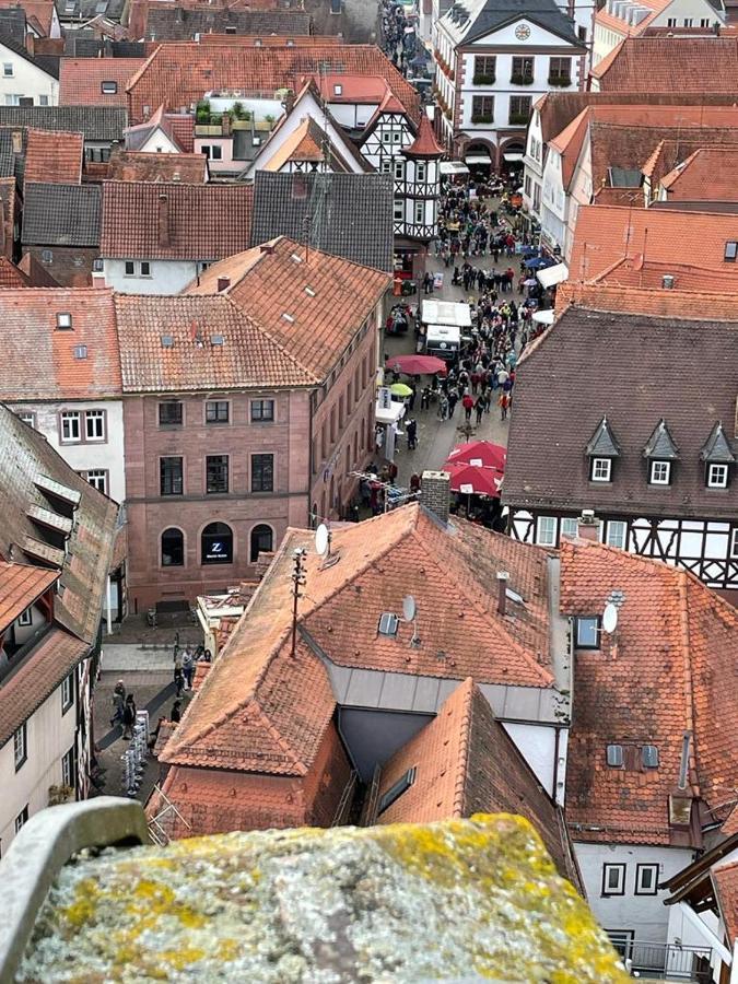 Ferienwohnung Im Springerhof Lohr エクステリア 写真
